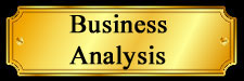 Business Analysis